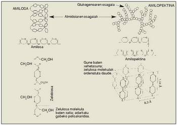 12. Irudia: Hexosana nagusiak.<br>